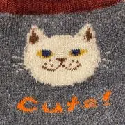 そふぃあの画像