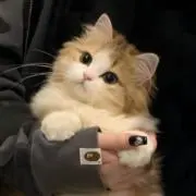 ワタミ