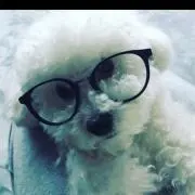 ビビラブの画像