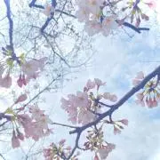 そら.__.