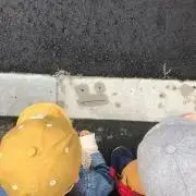 ガッチャの画像