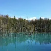 マッキ～の画像