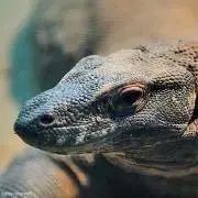十糸