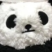 みーの画像