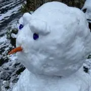 はむこの画像