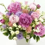 peonyの画像