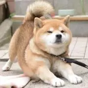 あ