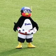 つば九郎