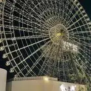 たまの画像