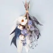 akaの画像