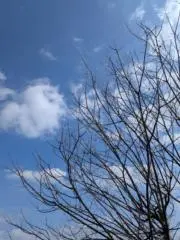 あっきーの画像