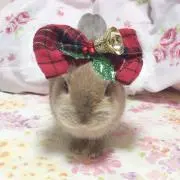 みりあ