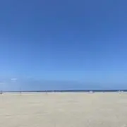 いちごの画像