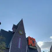 ぴんの画像