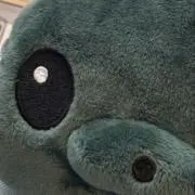 あるちの画像