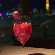 鳩の画像