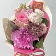 Hanaの画像