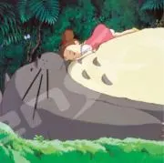kokoの画像