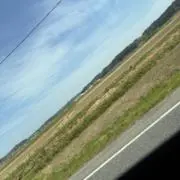 _Fyrrの画像
