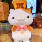 ⭐︎マフィン⭐︎の画像