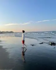 いの画像