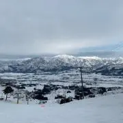 クマさん
