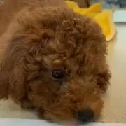 プロフ必読して下さい♥26ヒロ♥の画像