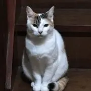 ゆん☆プロフ必読☆の画像