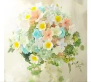 *purumeria*の画像