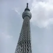 まちゃまちゃ
