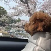 一姫二太郎★の画像