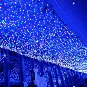 aya-moの画像