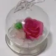★たち✳︎即購入歓迎✳︎の画像