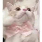 M ♡の画像