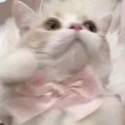 ぴろ