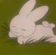 との画像