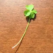 ハンダの画像