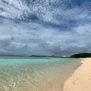 ❇︎マロン❇︎プロフィールお読みくださいの画像