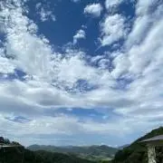 TBBNの画像