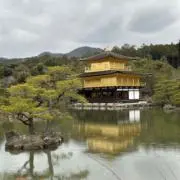 Buの画像