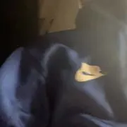 こまさんの画像