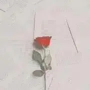 檸檬の画像