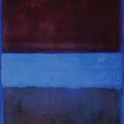 Rununculusの画像