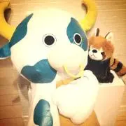MIWA