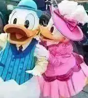 ドナデジ♡の画像