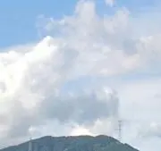 たいやきの画像