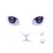 塩味の画像