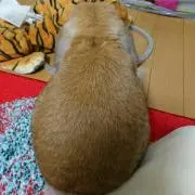 Keisuke