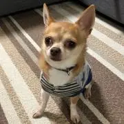 のり