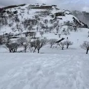 tousuiの画像